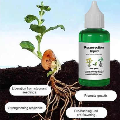 👍[Recommended by plant experts]🌿Plant and Flower Activation Liquid Solution🔥Buy 3 Get 5 Free💥
