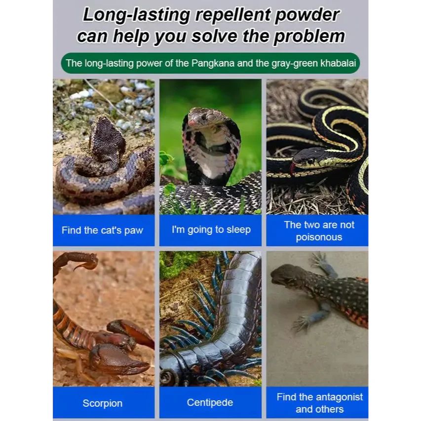 🔥Hot Sale 60% Off-Drive Snake Powerful Repellent