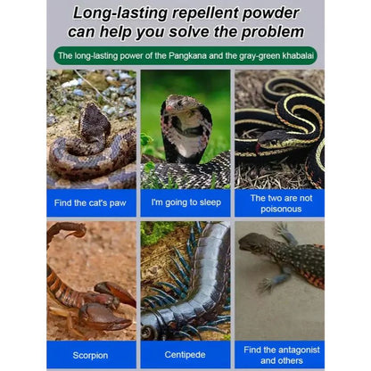 🔥Hot Sale 60% Off-Drive Snake Powerful Repellent